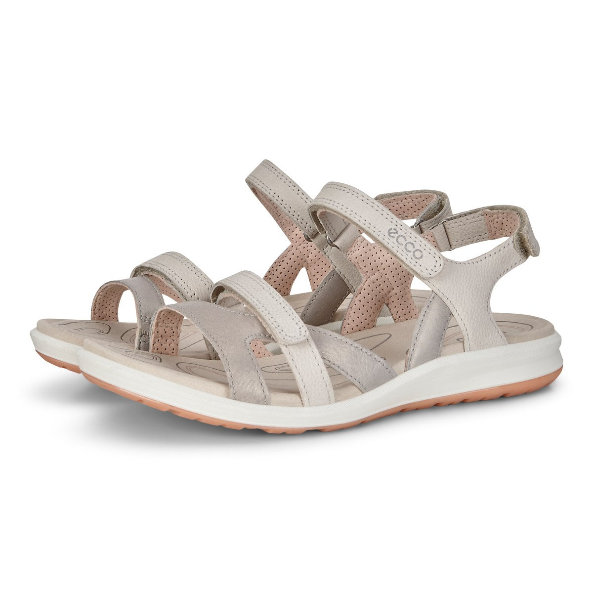 CRUISE 11- ECCO