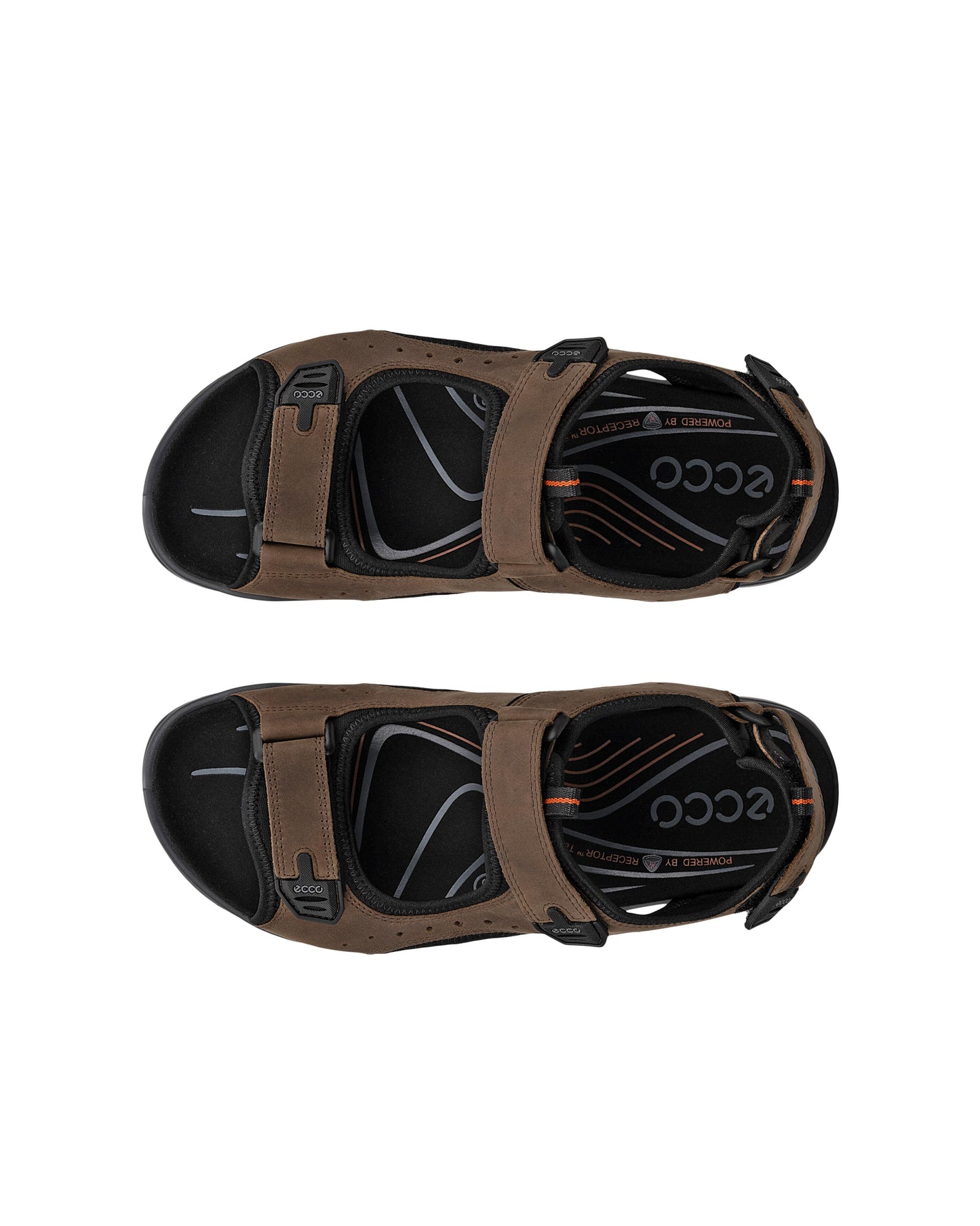 OFFROAD-ECCO