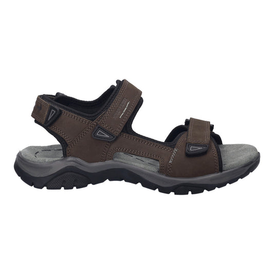 ARLO 02-JOSEF SEIBEL