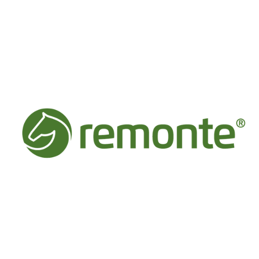 Remonte