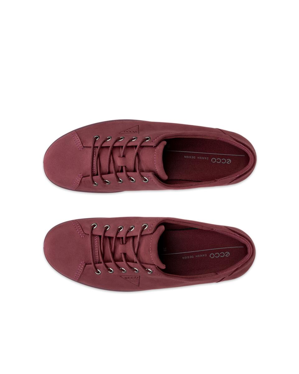 SOFT 2.0-ECCO