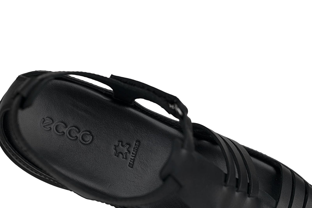 FLASH-ECCO