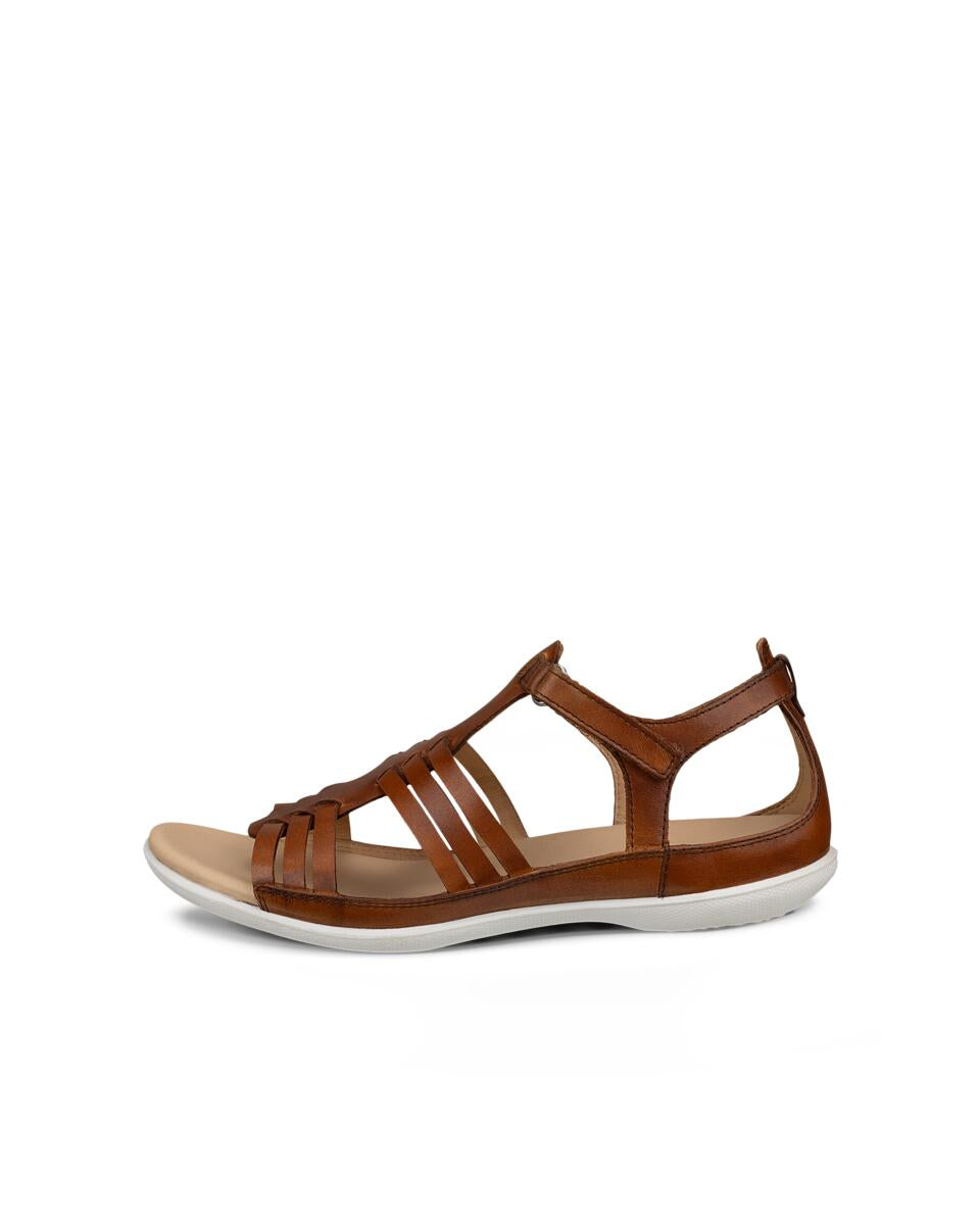 FLASH-ECCO