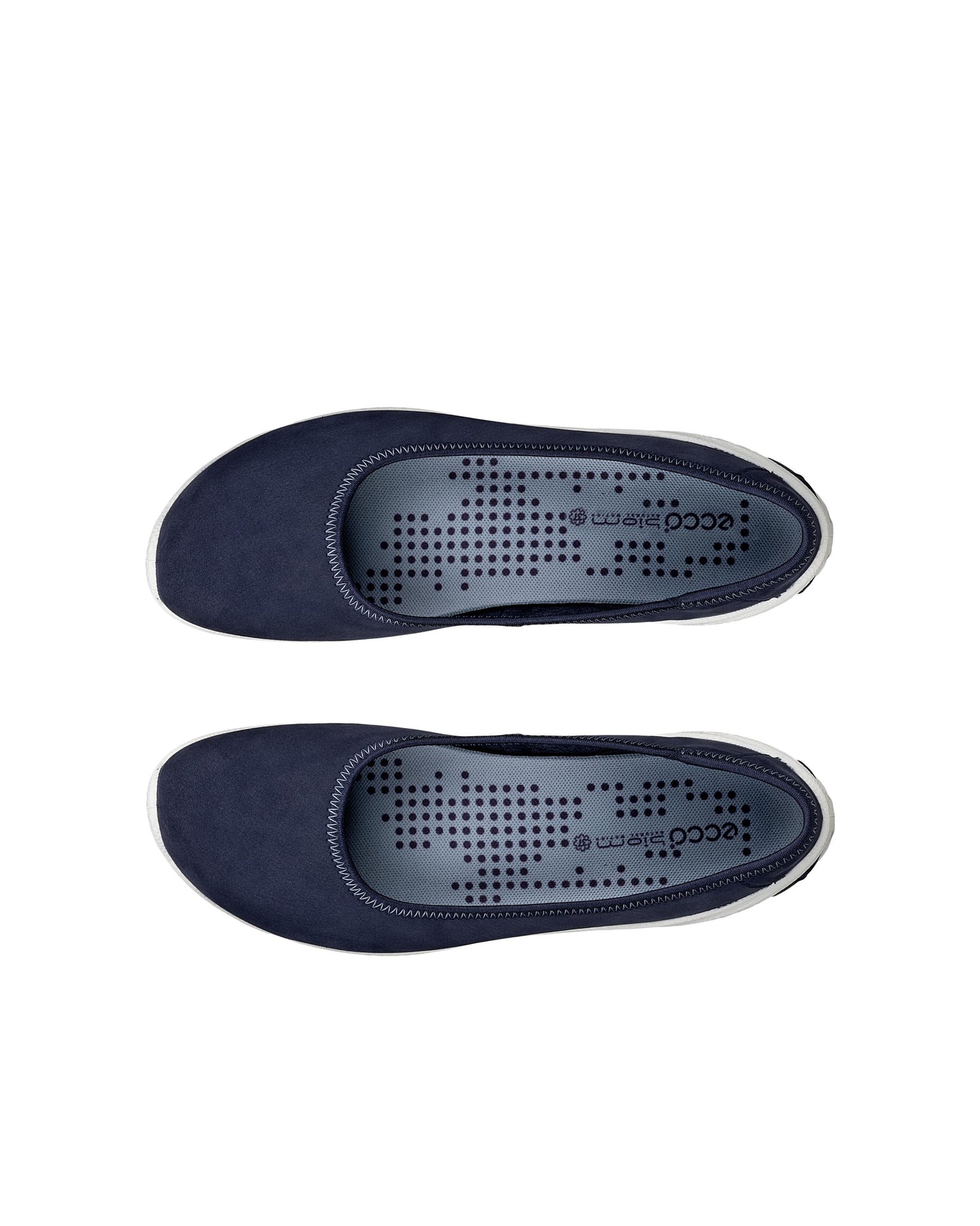BIOM LITE-ECCO