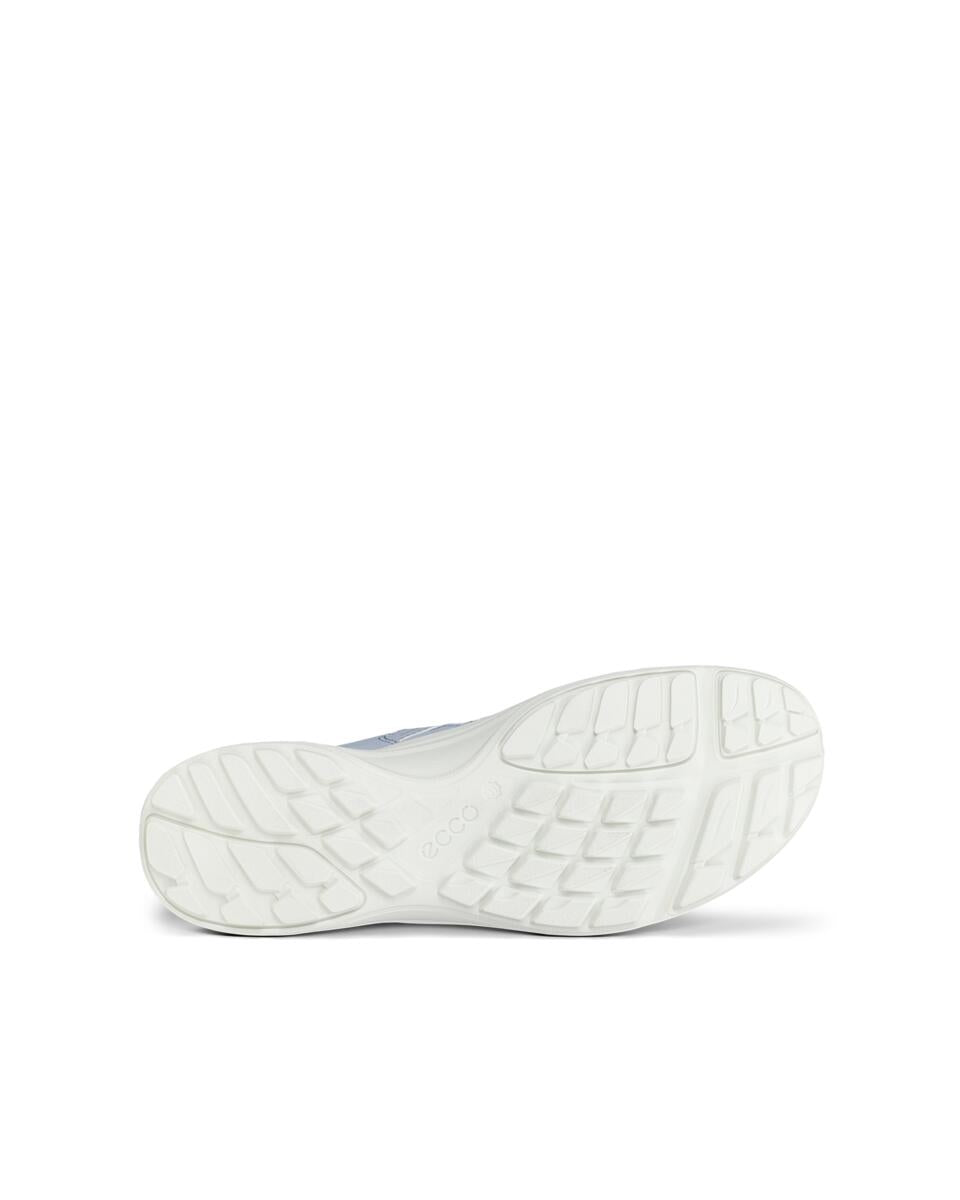 TERRACRUISE LT-ECCO