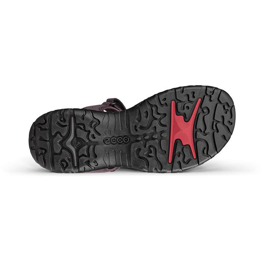 ROAM-ECCO
