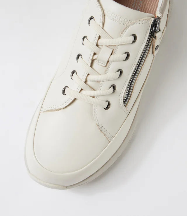PROSTEP-ROCKPORT