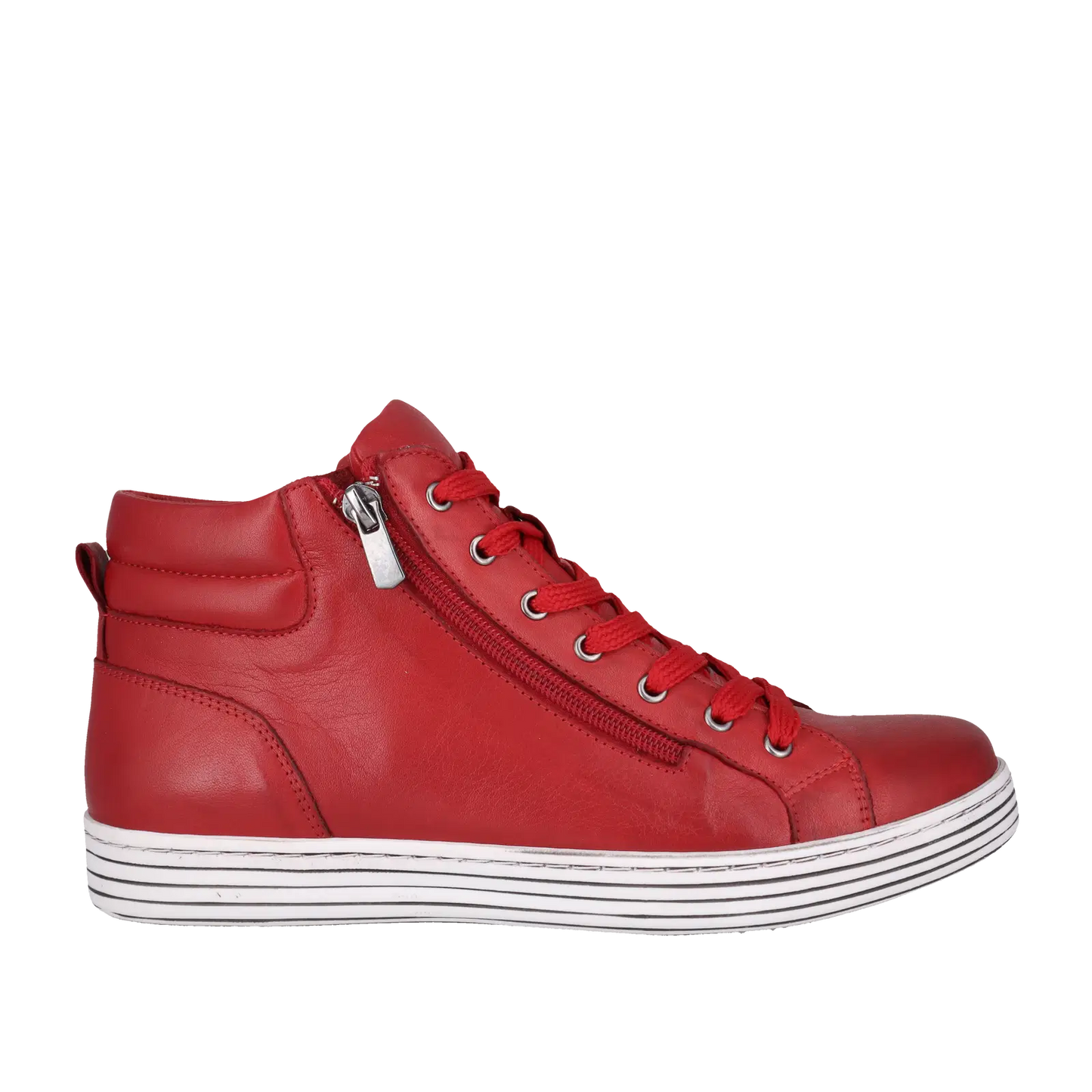 URBAN-CABELLO