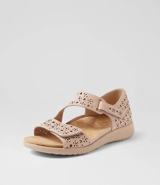 BIZZA-ZIERA